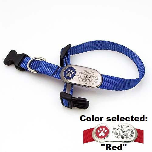 Jewelry ID Collar - Paw, - Lucky Pet